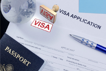 Visa Processing