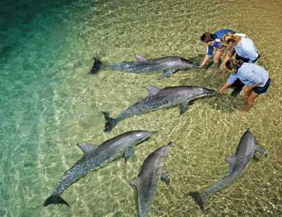 tangalooma